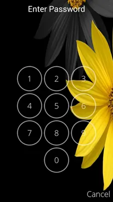 Passcode Screen Lock android App screenshot 3